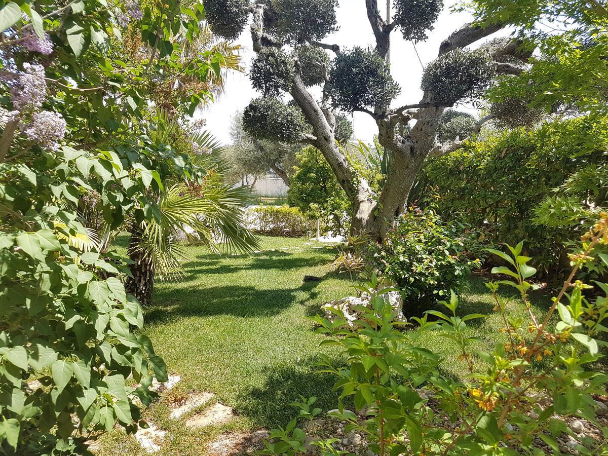 Villa Petra Chiara 洛科罗通多 外观 照片