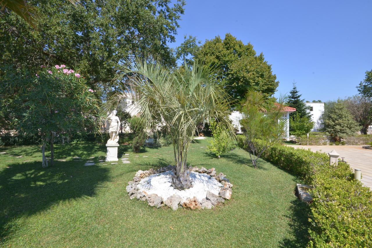 Villa Petra Chiara 洛科罗通多 外观 照片